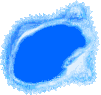 Ein Fisch