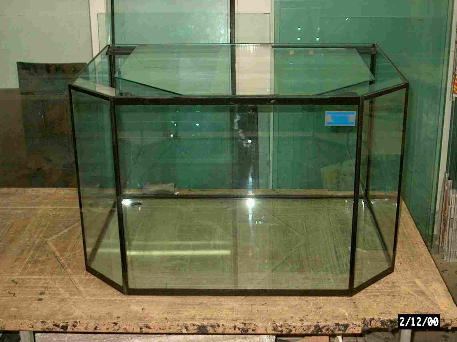 Ein Panoramaaquarium